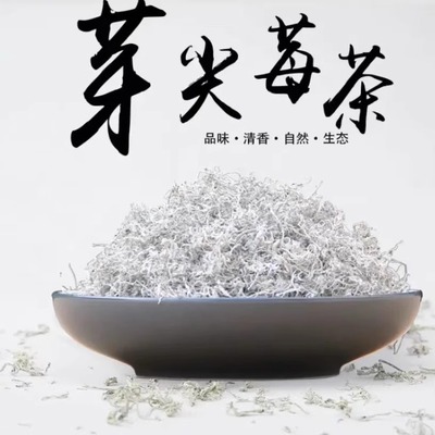 张家界特级龙须芽尖霉茶嫩叶