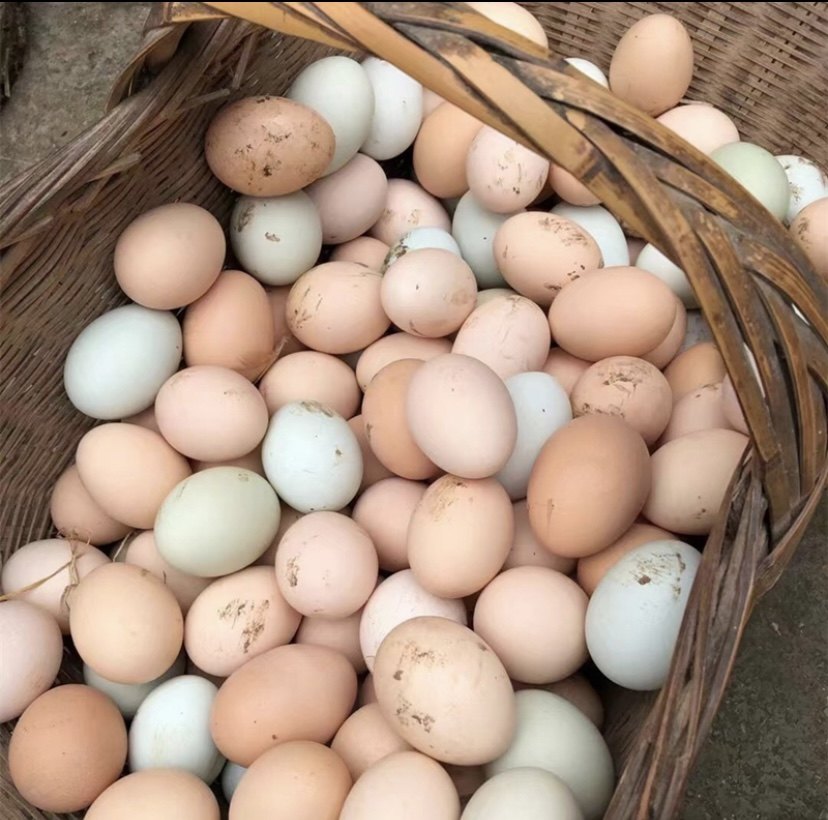 湖南湘西农家散养土鸡蛋30个,水产肉类/新鲜蔬果/熟食,鸡蛋,淘宝优惠券,粉丝福利购,淘宝优惠卷