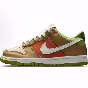 Nike Dunk 皮革 彩色拼接 复古 休闲 低帮 儿童板鞋 大麦黄