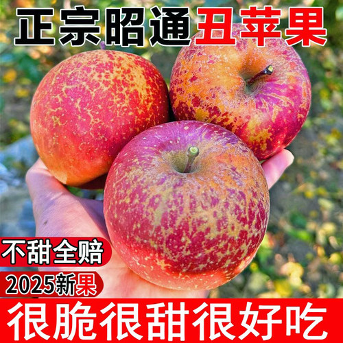 云南昭通丑苹果冰糖心脆甜