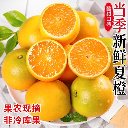 正宗秭归夏橙新鲜现摘现发9斤酸甜多汁当季水果榨汁水果整箱包邮