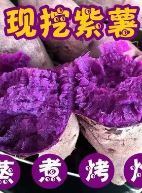 当季紫薯新鲜蜜薯农家小番薯减脂粉糯正宗沙地番薯香甜烟薯可烤