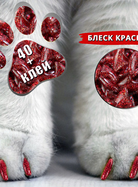 Cat Nail Caps 40粒宠物指甲套猫咪美甲爪套送胶水亚马逊TK TEMU