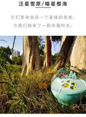 元宇宙宠物骨灰生命晶石项链吊坠挂坠平安锁水晶手链