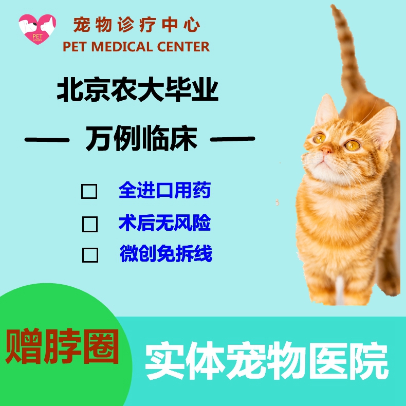 宠物北京犬猫绝育手术微创上门