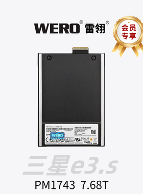 WERO e3.s雷电5硬盘盒用户专享三星PM1743 e3.s企业级固态硬盘