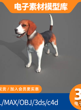比格犬3d模型obj单体fbx高精度mtl设计max建模打印素材下载c4d狗