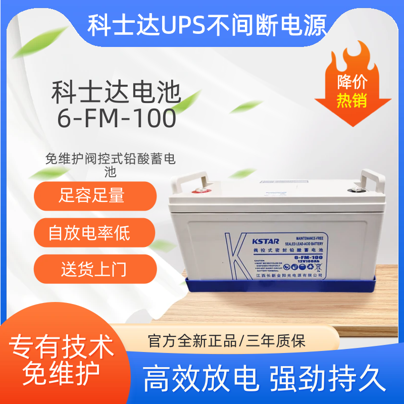 科士达ups不间断电源蓄电池6-FM-100/65/38/24铅酸免维护12V100AH
