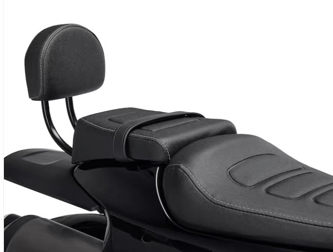 适用于哈雷Sportster 1250S运动者s改装后靠背 乘客靠垫靠背