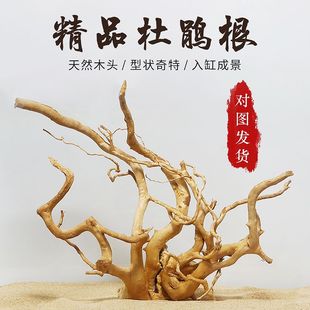 杜鹃根枝条莫斯树成品树形t免煮沉木鱼缸水族箱造景小沉木枝条栖