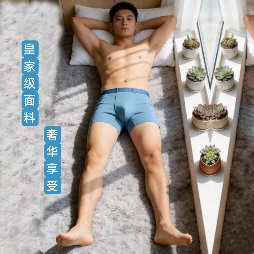 旗舰级男士平角无痕内裤100S双面兰精莫代尔高弹四季加大码礼盒装,女士内衣/男士内衣/家居服,男平角内裤,淘宝优惠券,粉丝福利购,淘宝优惠卷