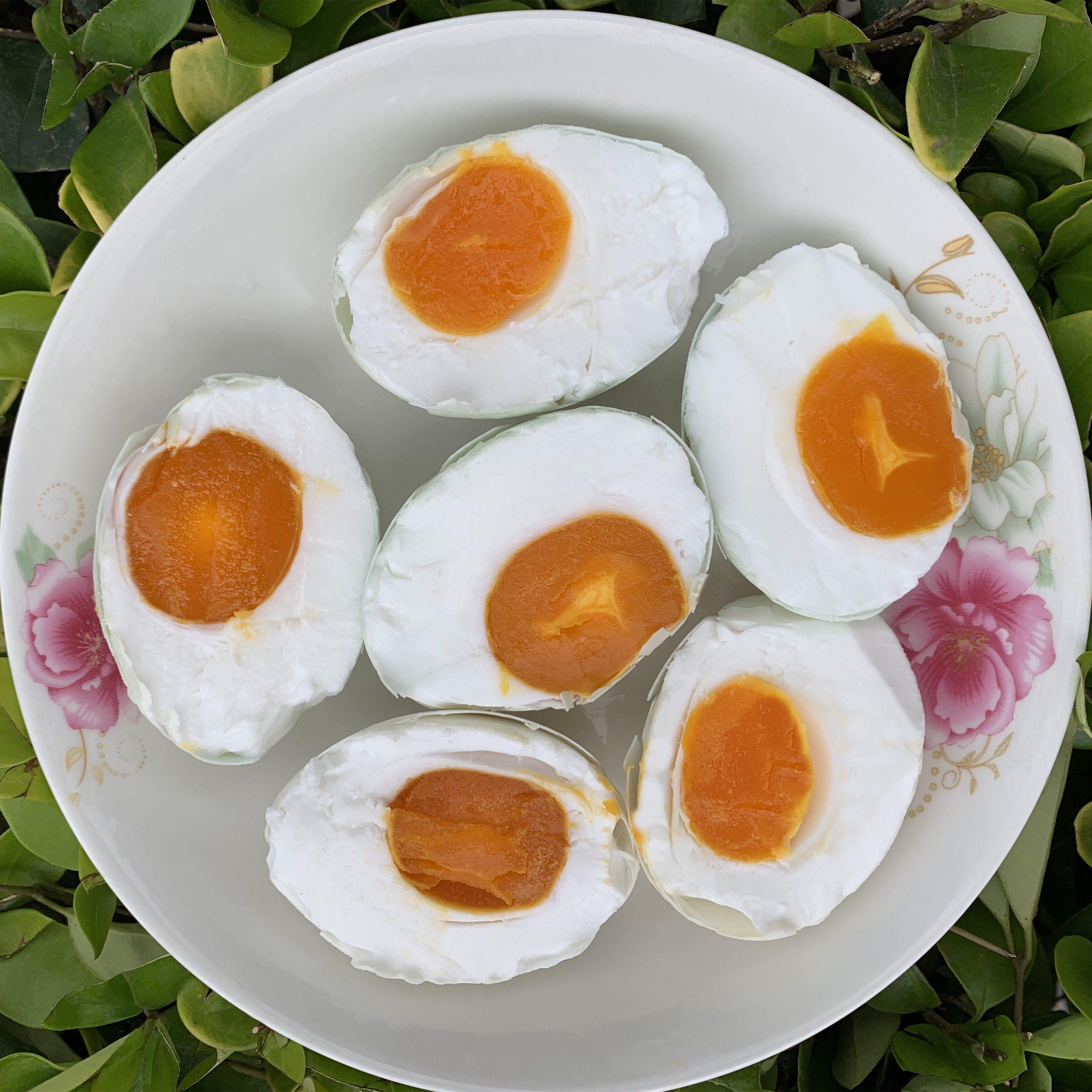 御珠江汉平原70克*10枚农家泥腌不咸生咸鸭蛋盐蛋黄起沙不流油