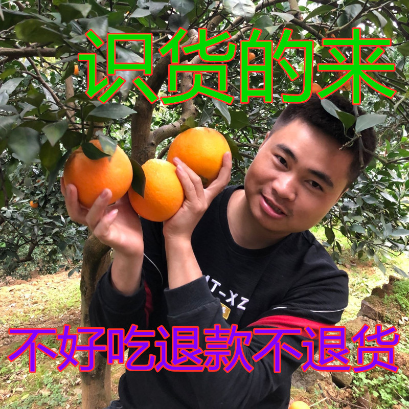 果农直销农产品湖南纽荷尔脐橙10斤装新鲜皮薄多汁榨汁大果直发