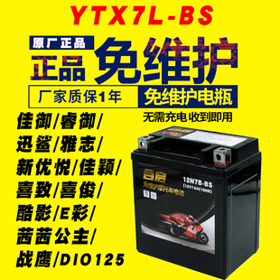 YTX7L-BS佳颖佳御睿御迅鲨雅志电瓶新优悦佳颖喜致喜俊酷影蓄电池