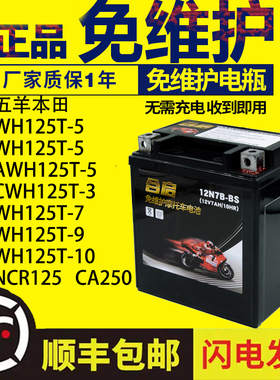 摩托车电瓶五羊本田WH125T-5-5A-5C-3-7-9-10 NCR125 CA250蓄电池