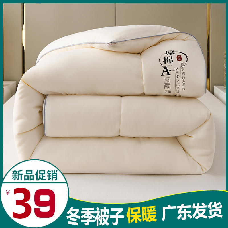 广东发冬季加厚保暖被子学生被芯