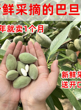 新鲜巴旦木产地现摘现发