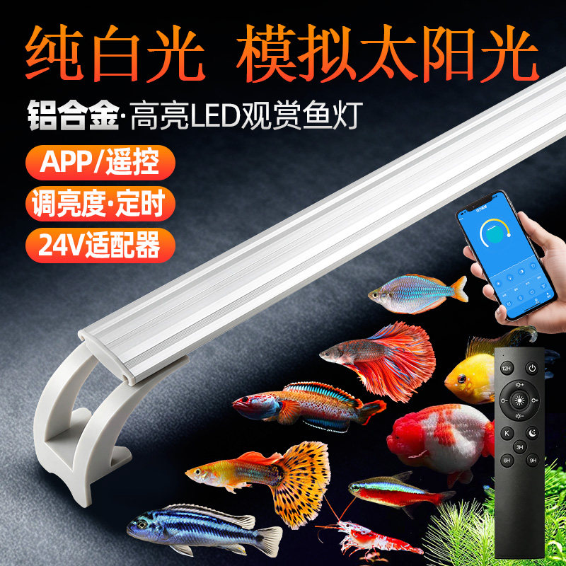 日出日落定时调亮度24V灌胶防水