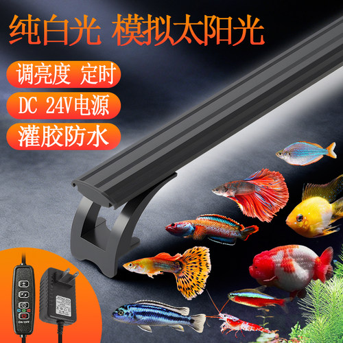超亮定时调光调亮度24V灌胶防水
