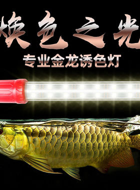 LED鱼缸灯管水族箱照明灯5050金龙鱼灯黄金锦鲤专用灯防水黄光灯