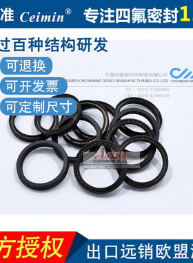 孔用泛塞封碳纤维填充四氟SS304/316L/C276/Elgiloy/Inconel 718