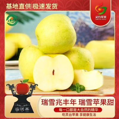 甘肃平凉瑞雪苹果现摘脆甜多汁