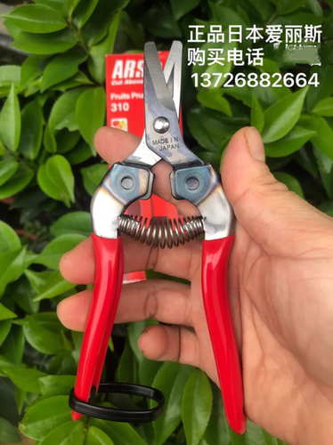 日本 ARS 310 园林工具水果剪蔬果稀果剪葡萄翘刃摘果剪