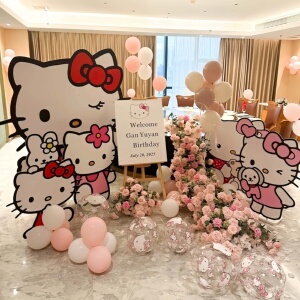 hellokitty生日布置女孩18岁kt板