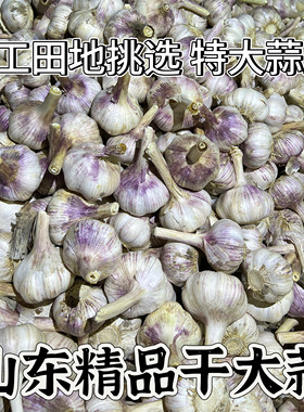 2026农家自种精品干大蒜精选紫皮大蒜新鲜干蒜头5斤自然晾晒干蒜