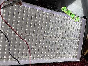 长虹灯条LED32568 LED32560 LED32C2JDI LED32B2100C LED32C2051i