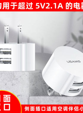 5V2.1A10WUSB双口侧面电源器