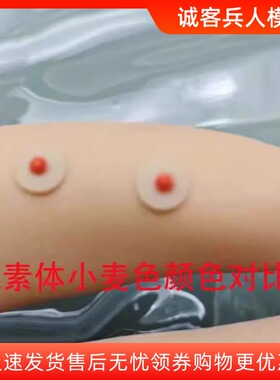 1/6女兵人胸贴胸部替换件适合TBL岚女其它素体自D12寸女人偶配件