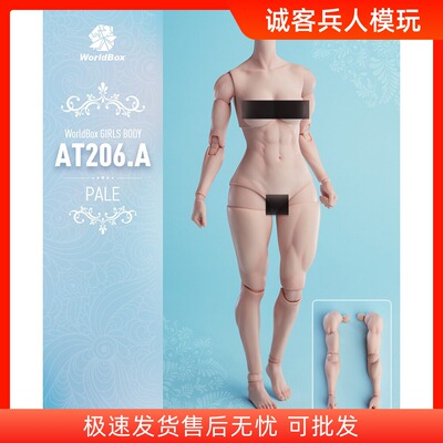 耐操1/6女素体肌肉版AT206A