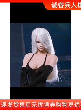 1/6 女兵人TF TOYS TF02 尼尔机械纪元2b姐姐 A2套装头雕武器服装