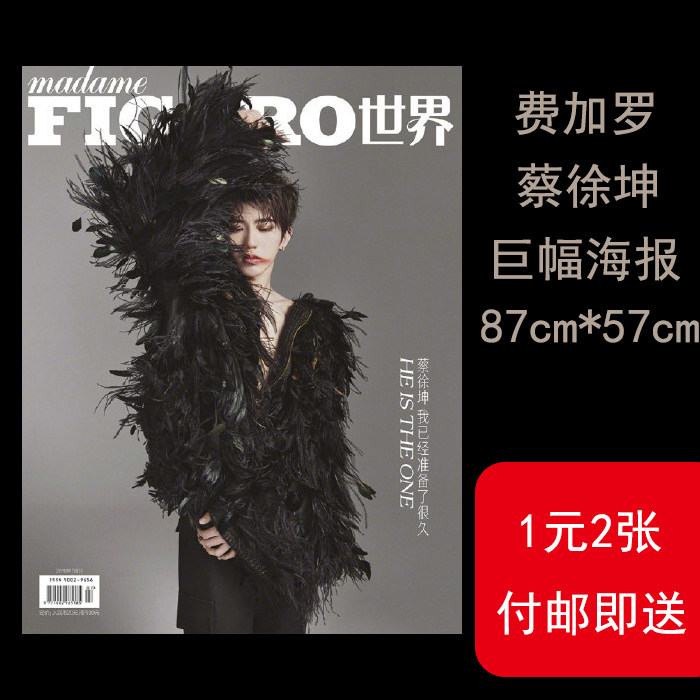 费加罗蔡徐坤海报nine percent偶像练习生同款海报礼物应援ikun