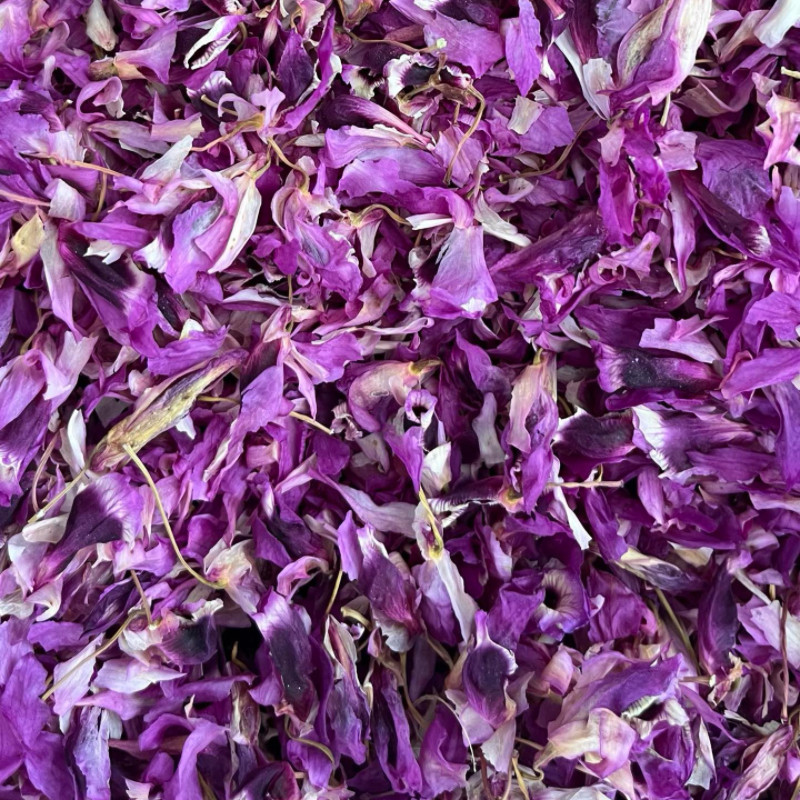 紫色石斛花新花大朵养生花茶
