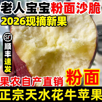 顺丰甘肃天水正宗花牛苹果直销蛇红果婴宝宝老人粉面沙脆新鲜水果