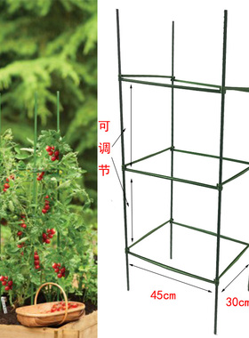 45x30cm长方形番茄支柱西红柿种植架辣椒茄子种植架爬藤攀爬