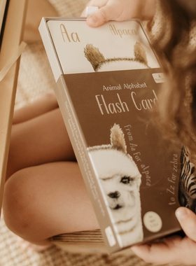 澳洲ModernMonty Flashcard闪卡 锻炼宝宝思考/观察/动手/注意力