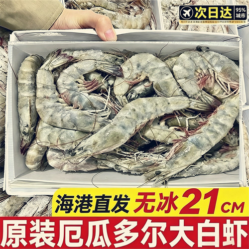 厄瓜多尔原装进口白虾新鲜冻海虾