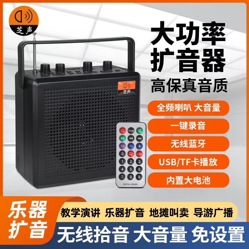 小蜜蜂扩音器教师专用乐器二胡萨克斯口琴拾音无线麦克风蓝牙音响