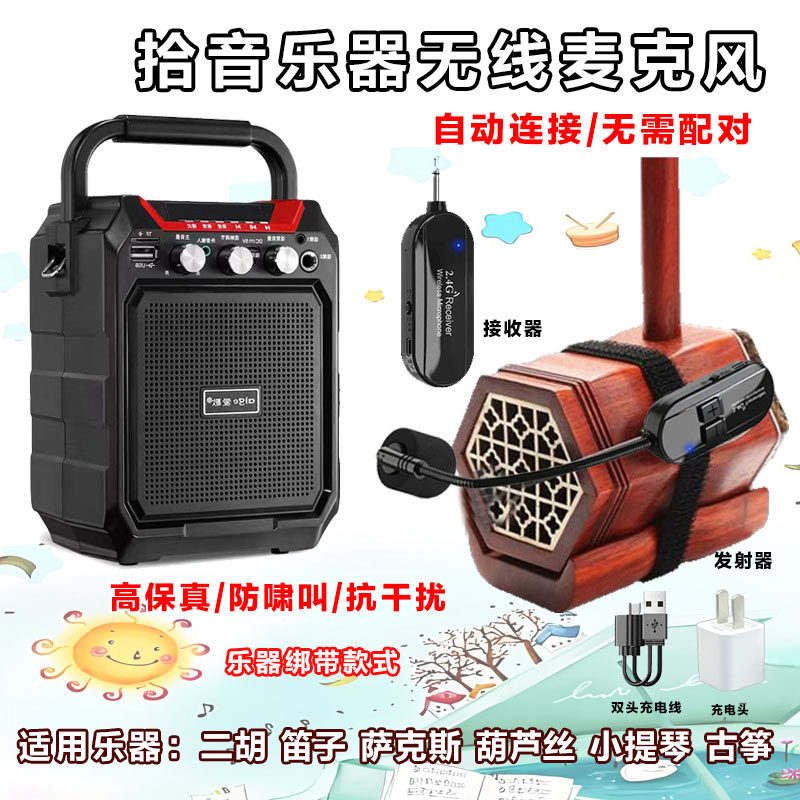 二胡扩音器户外蓝牙音箱乐器专用演出伴奏促销喊话无线麦克风音响