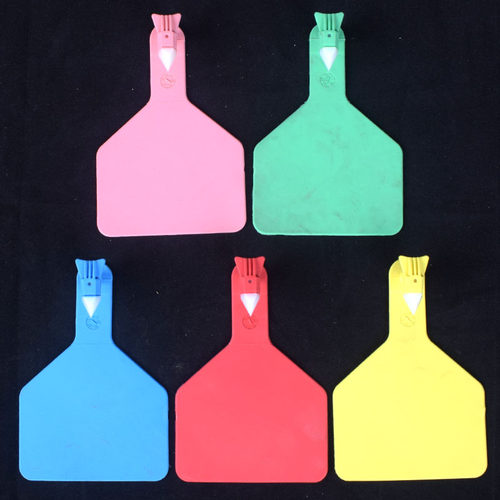 母牛耳标号牌养牛用品设备