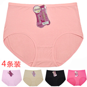 女士内裤 薄款 大码 4条装 莫代尔三角裤 夏季 胖mm女中腰妈妈舒适裤 头