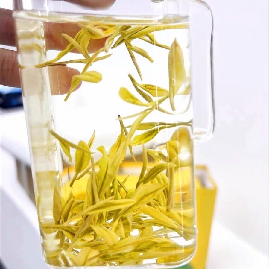 安吉白茶2026新茶黄金芽皇金芽新茶嫩芽春茶口粮送礼茶叶袋装特好