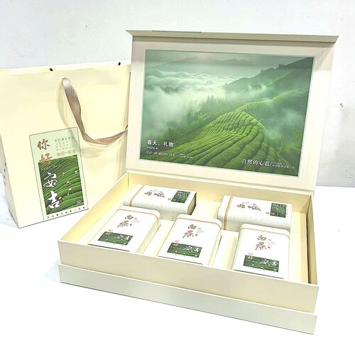 安吉特级白茶2026新茶正宗产地明前白茶500克礼盒装袋装嫩芽解暑