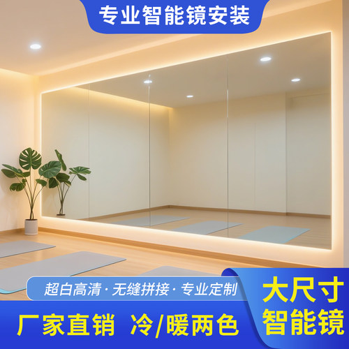 高智能镜玻璃镜挂墙落地镜