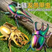 发条甲虫动物模型仿真甲壳虫独角仙可动关节昆虫上链爬行男孩玩具