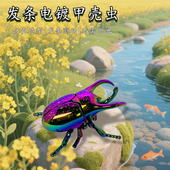 发条甲虫玩具昆虫甲壳虫仿真动物独角仙电镀机械模型男孩儿童女孩