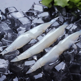 冬捕鱼冬捕银鱼4斤白鱼松花江白鱼吉林松原市鱼包邮